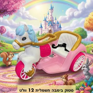 סטוק בימבה חשמלית 12 וולט